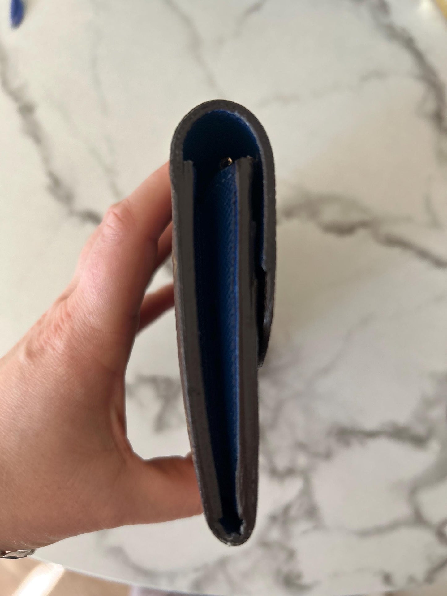 Louis Vuitton Emilie Monogram with Blue Interior Wallet