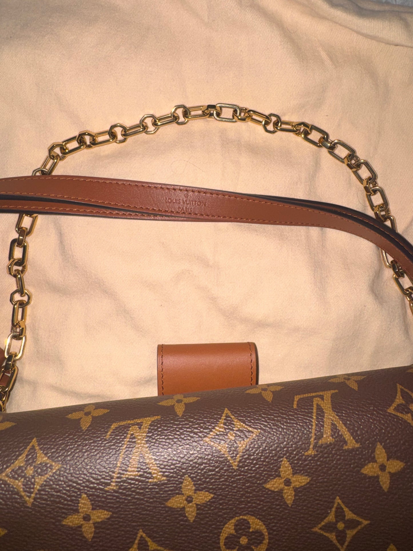Louis Vuitton Dauphine MM