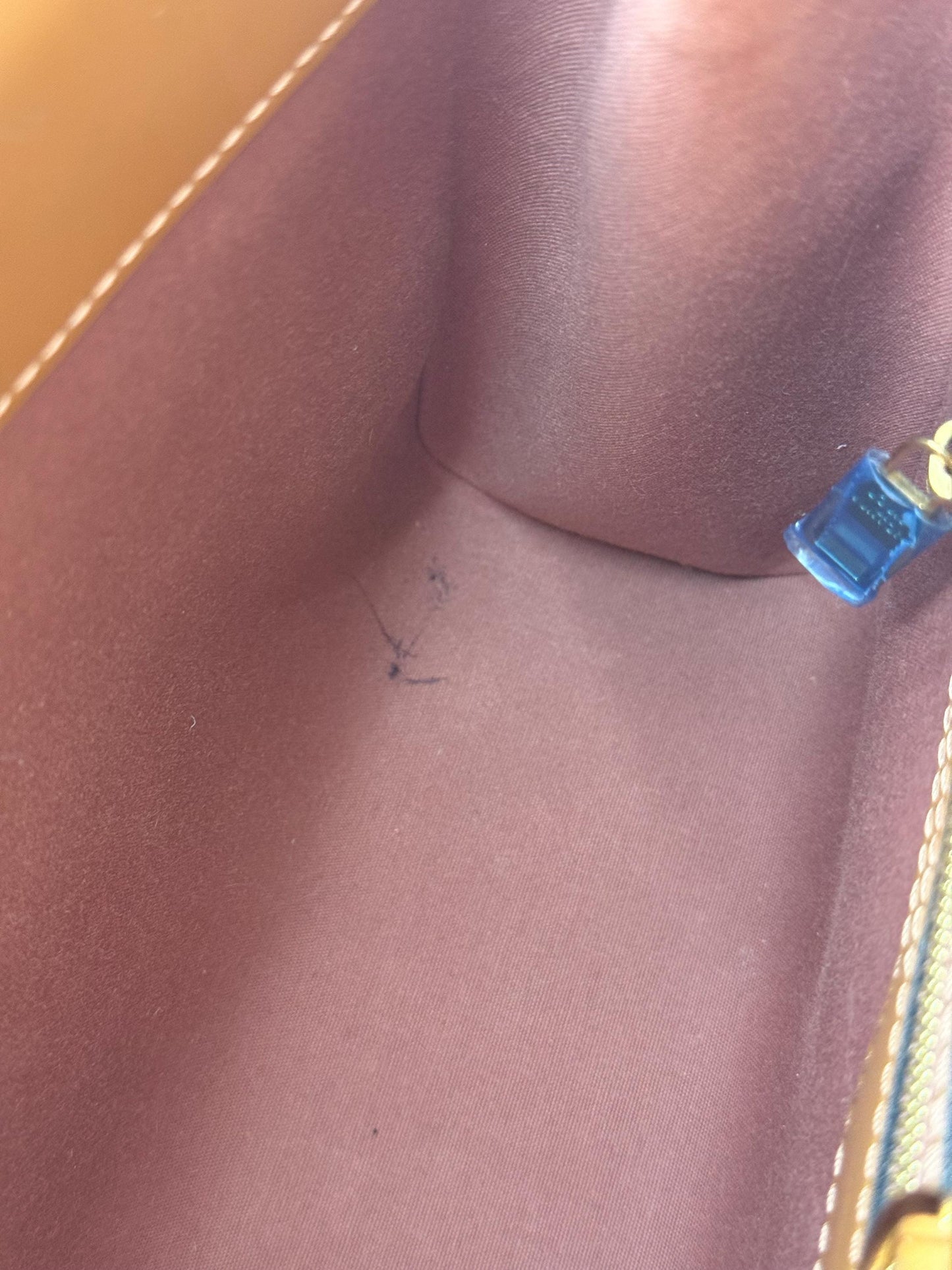 Louis Vuitton Vernis Catalina Monogram Handbag